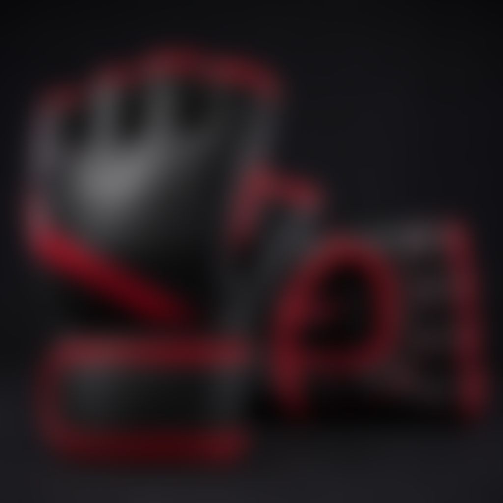 Guantes MMA Round 10, muestra